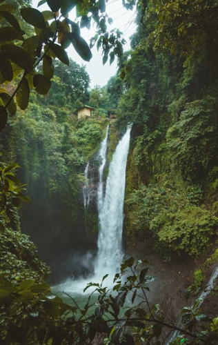 Becoming a Beauty Influencer in Bali